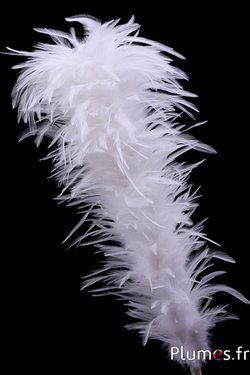 Plumet coq avec anneau -  hauteur 40 cm - blanc